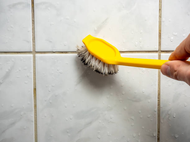 Reliable Florham Park, NJ Mold Remediation Solutions