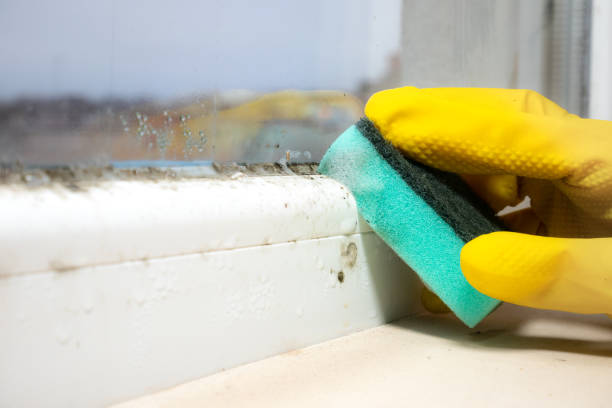 Best HVAC Mold Remediation in Florham Park, NJ
