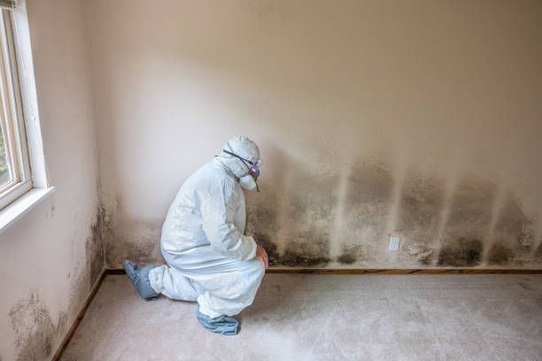 Best Industrial Mold Remediation in Florham Park, NJ