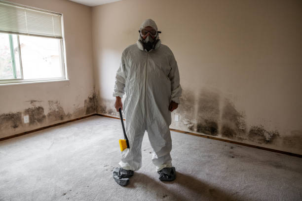 Best Preventive Mold Services in Florham Park, NJ